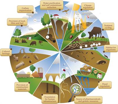 Frontiers | Soil Organic Matter Research And Climate Change: Merely Re ...